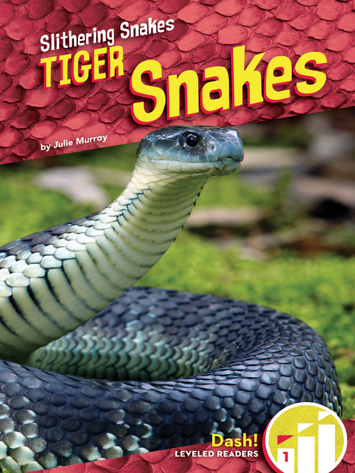Title details for Tiger Snakes by Julie Murray - Available